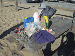 Trash collected between Seaside State Beach and Marina State Beach. Photo: Leonie Sherman