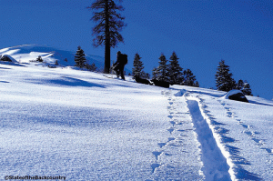 Sometimes the walk is just as good as the ski. Photo: Jillian Raymond Skinner: Brennan Lagasse. 