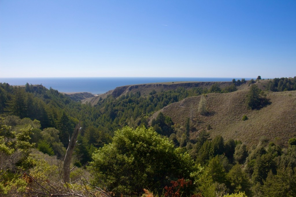 Santa Cruz Redwoods National Monument Kick Off