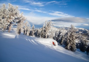 Vail Season Passes on Sale Today, Includes New Tahoe Local Pass