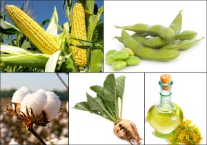 The “Monsanto Protection Act”