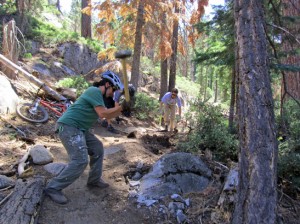 Dedicated To The Dirty Work: New Mountain Bike Trail Groups In Tahoe