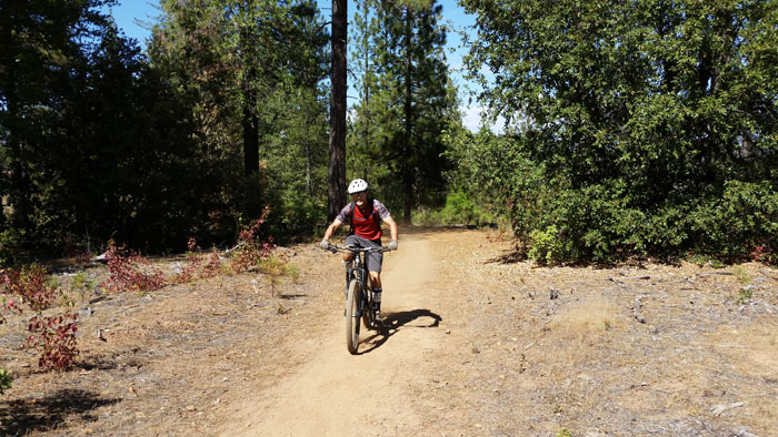 MTB Trail Stewardship Summit to Take Place in Groveland this October