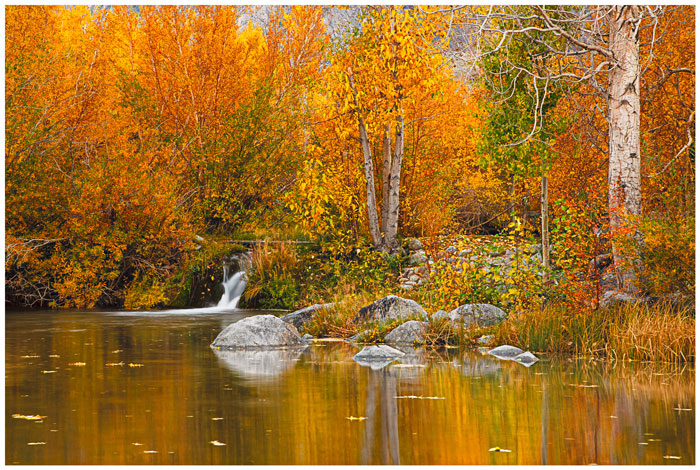 fall-bishop-creek