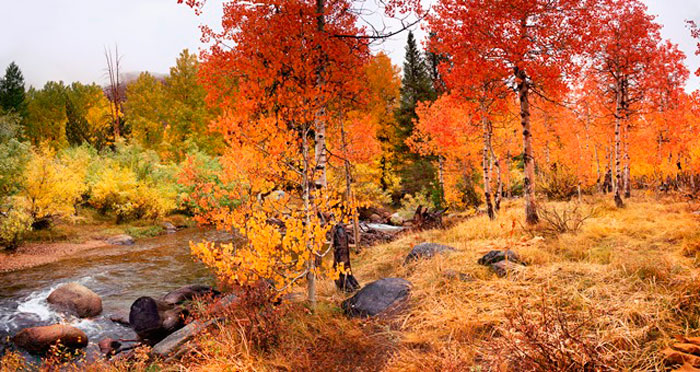 fall-north-fork-bishop-creek