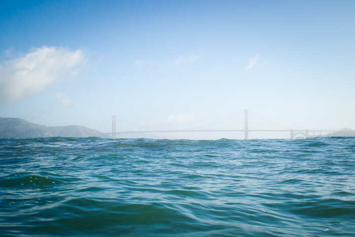 Golden Gate Bridge view from the water, as seen by Heavy Water racers. Photo: Joe Spota