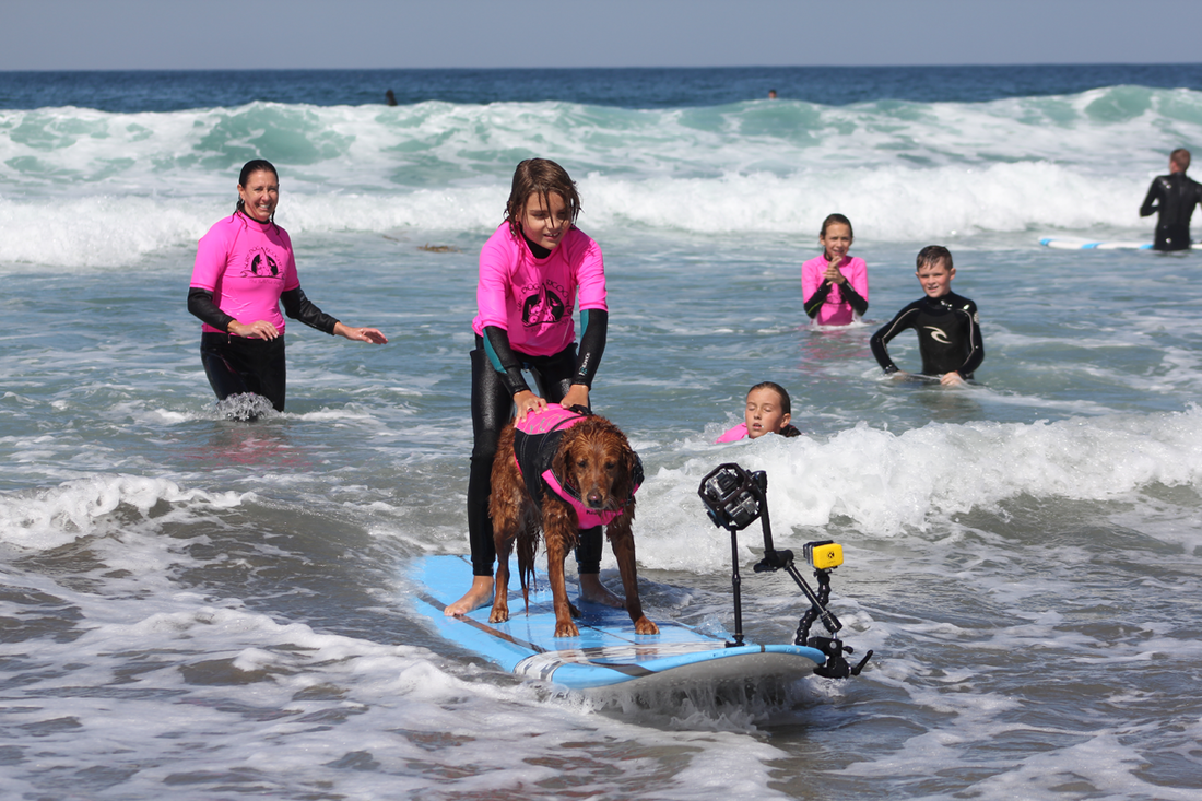 Surf Dog Ricochet: Canine Ambassador for Surfers with Disabilities