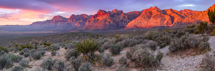 Save Red Rock Celebrates Major Victory for Red Rock Canyon National Conservation Area