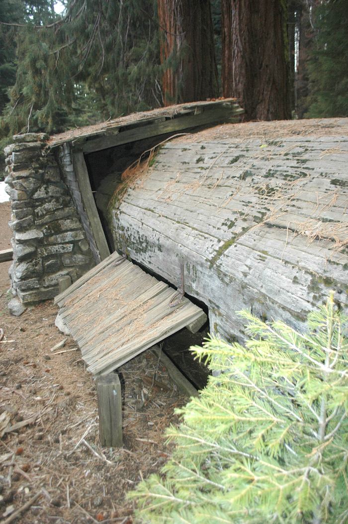 A home built inside a fallen sequoia tree in Crescent Meadow in Sequoia National Park.