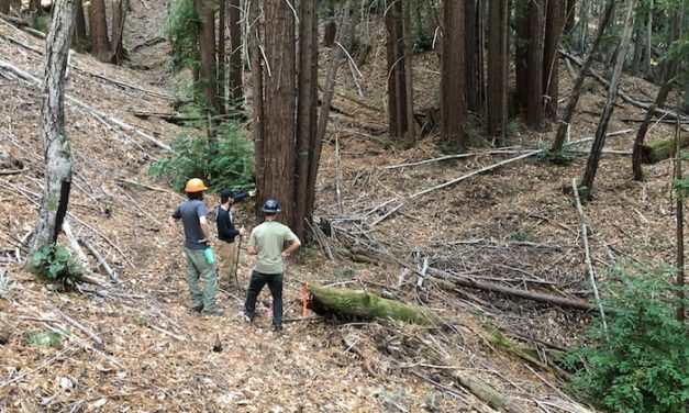 Mountain Bikers of Santa Cruz Partners with Santa Cruz Bicycles in “Trees, Trails, and the Return of Sawpit” Campaign