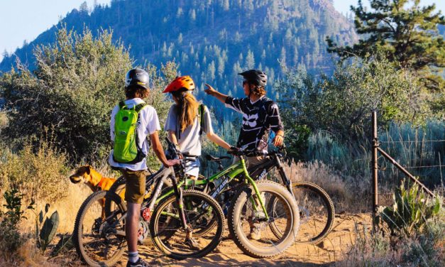 EcoBike Adventures Offers Guided E-Bike Tours in the Bay Area and NorCal Mountains