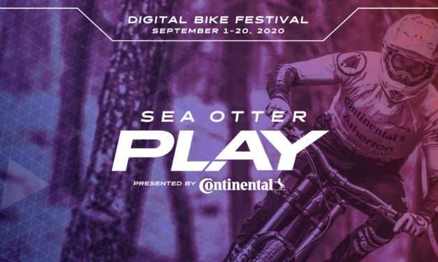 Ready, Set, Play: Registration for Sea Otter Play is live!