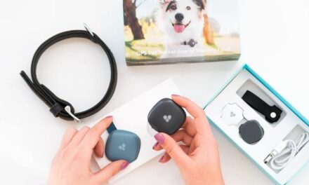 Findster Duo+ GPS Pet Tracker