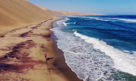 Video: “Diamonds in the Sand” Trailer