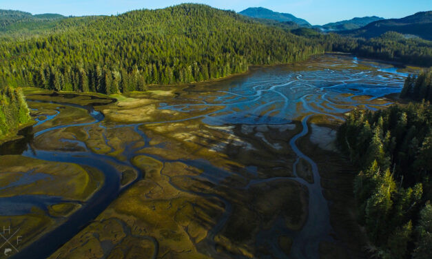 Important First Step Made in Restoring Protections for Tongass National Forest in Alaska