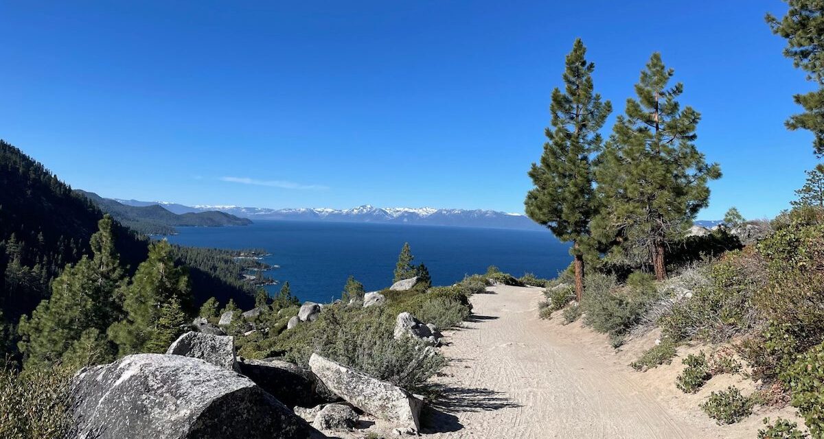Tahoe Fund Launches Matching Campaign for New Tunnel Creek Singletrack