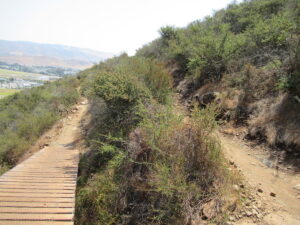 Earn Your Beer in San Luis Obispo image of a trail