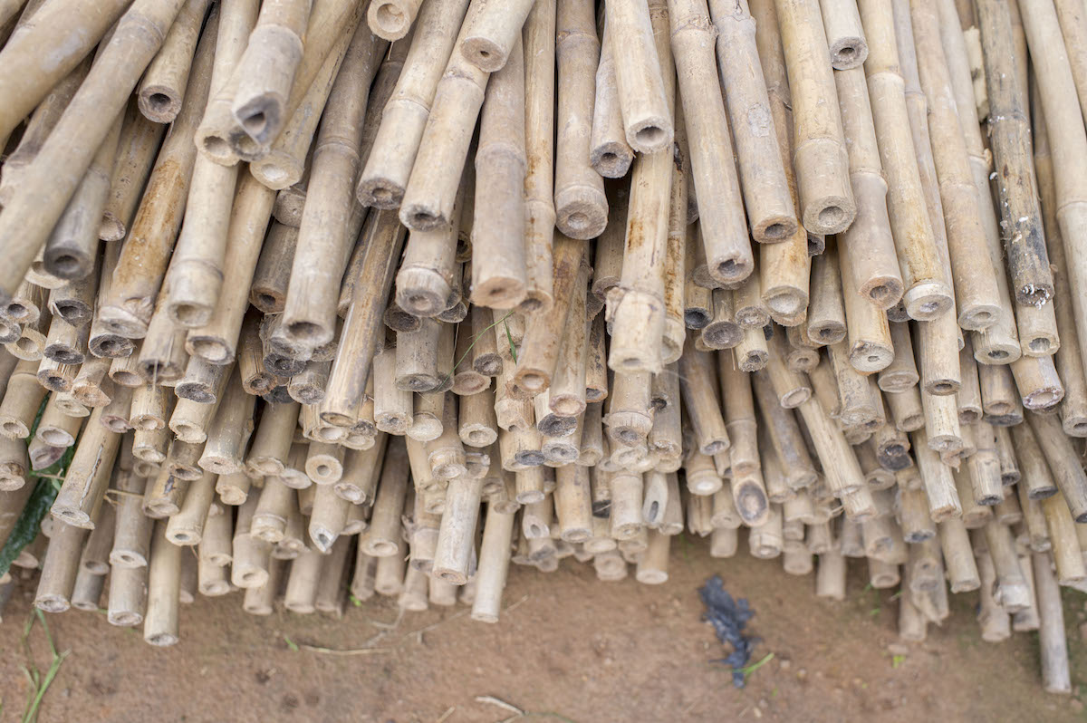 Photo of dried bamboo