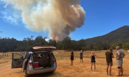 Full containment of Oak Fire expected by Wednesday
