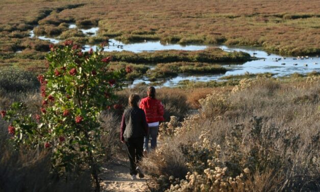California State Parks Announces $2.8 Million in Grants To Protect, Restore and Enhance Wildlife Habitats