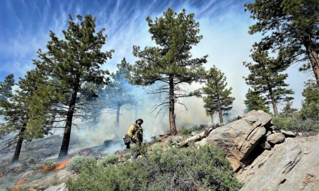 Inyo National Forest completes 1,713 acres of prescribed burning