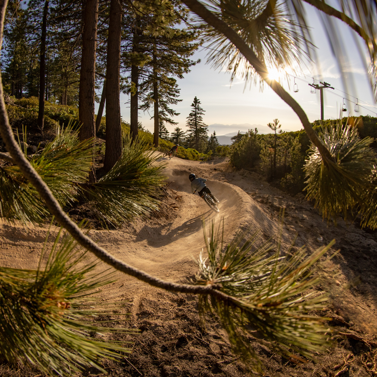photo of biker on a trail at Big Bear Mountain Resort