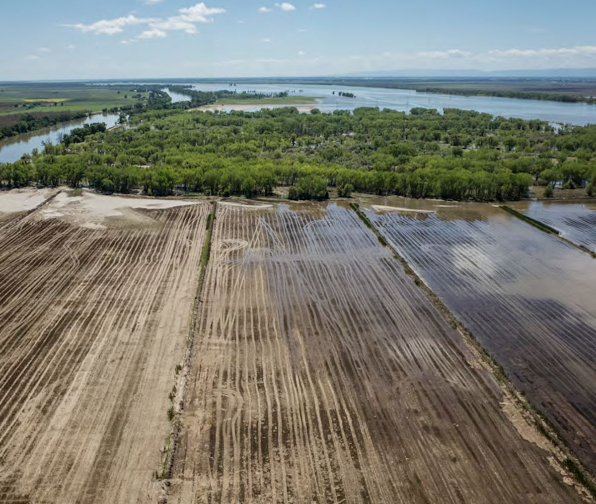 postharvest agricultural fields being flooded to decompose agricultural waste and provide surrogate wetlands for migratory birds in the sutter bypass