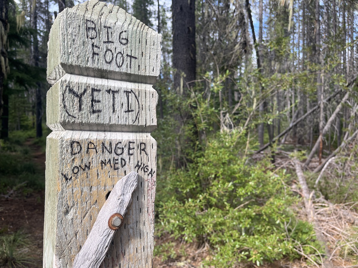 A Yeti meter reveals high danger but Bigfoot hides well
