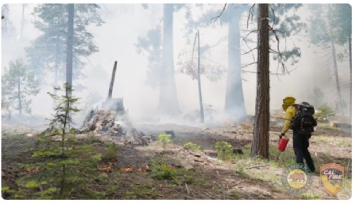 california state parks and cal fire plan prescribed burn at calaveras big trees state park