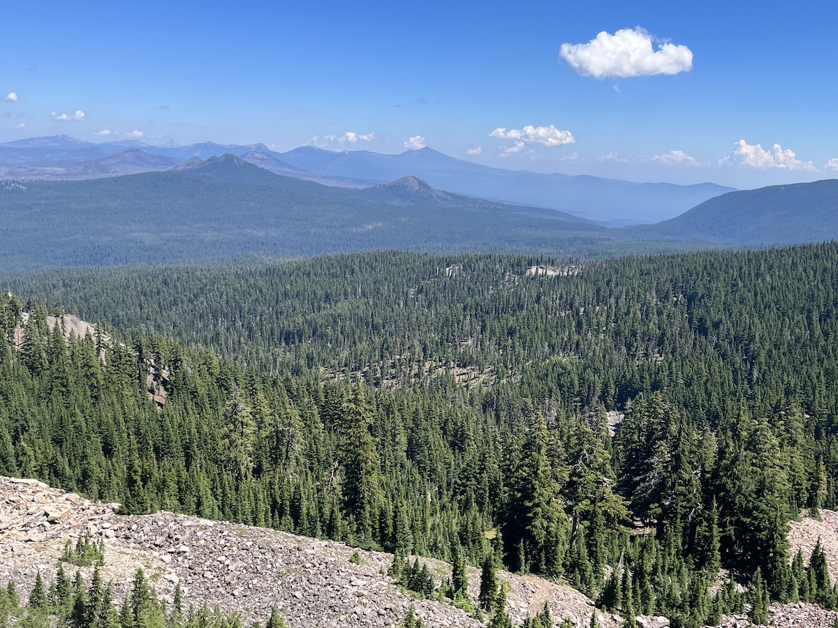 Oregon’s trees grow densely, but now and then you get expansive views over the forest