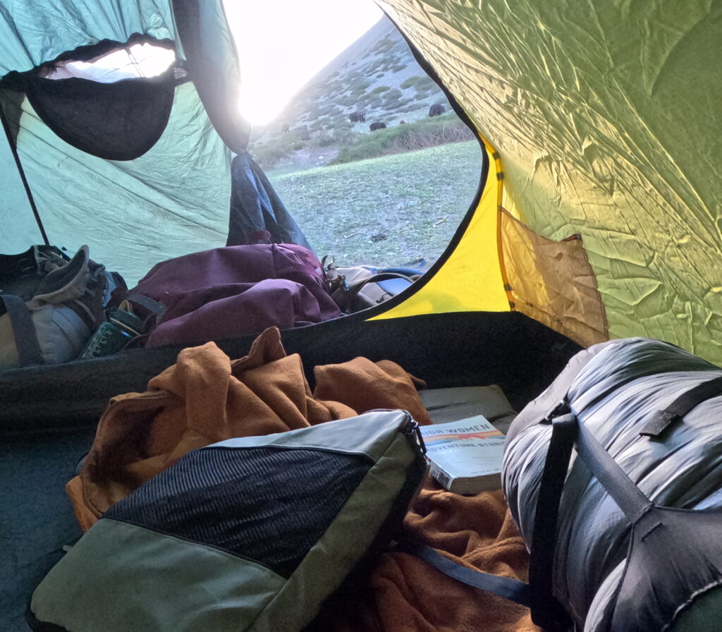 Morning view from tent.