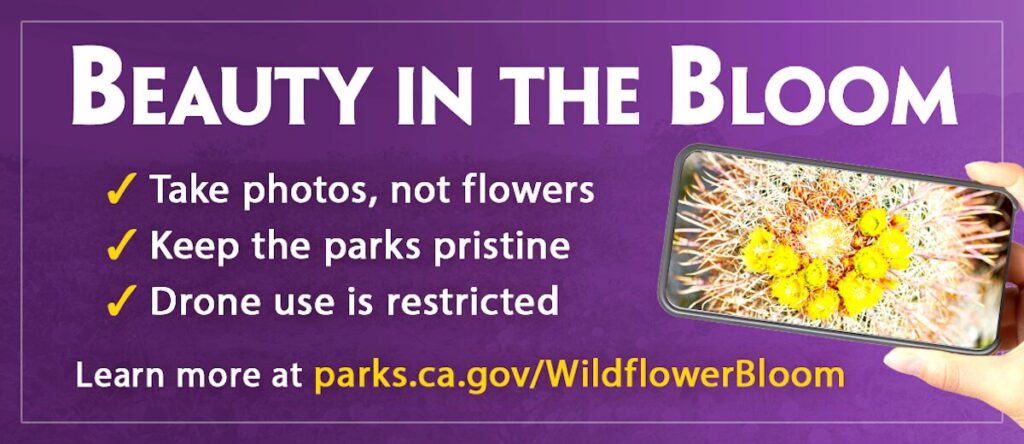 A copy of the poster for the CA State Parks Beauty in Bloom
