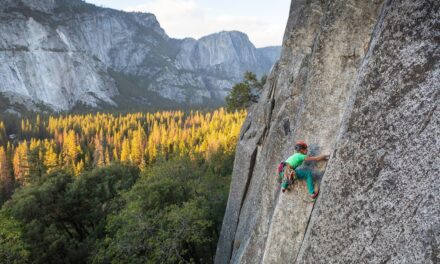 Climbing Bolt Prohibition in National Parks