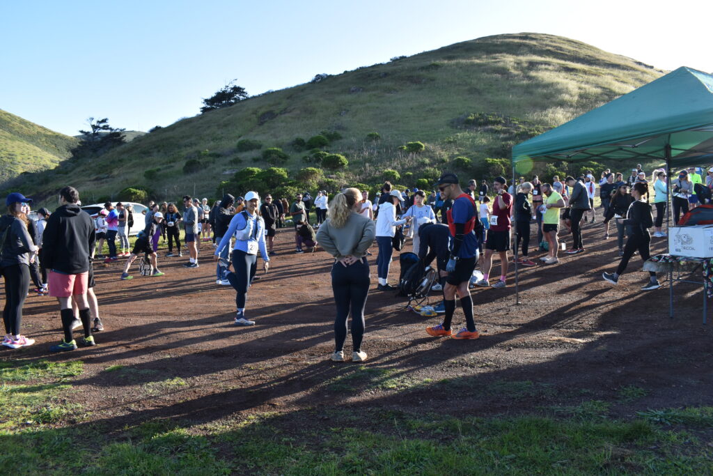 Runners lining up in the sun before a morning race